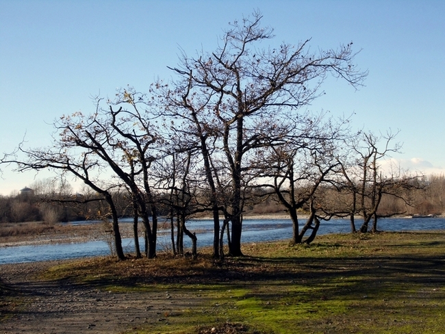 Fiume Ticino